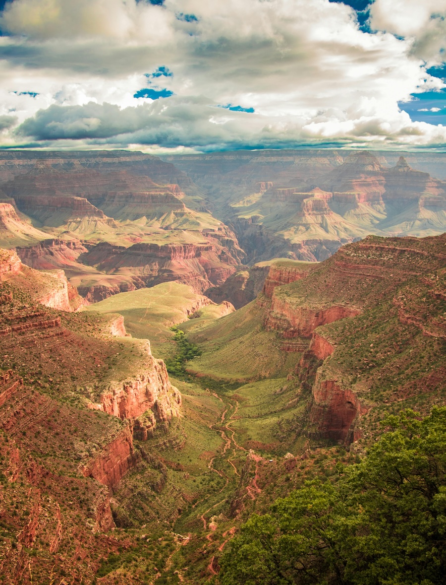 CoconinoCountDemsPhoto3